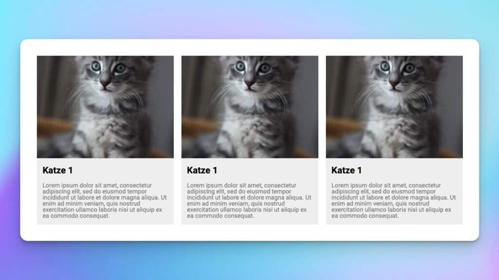 Katzenauflistung im Elementor PageBuilder